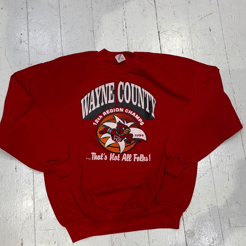 Vintage 1994 high school sweatshirt, XL